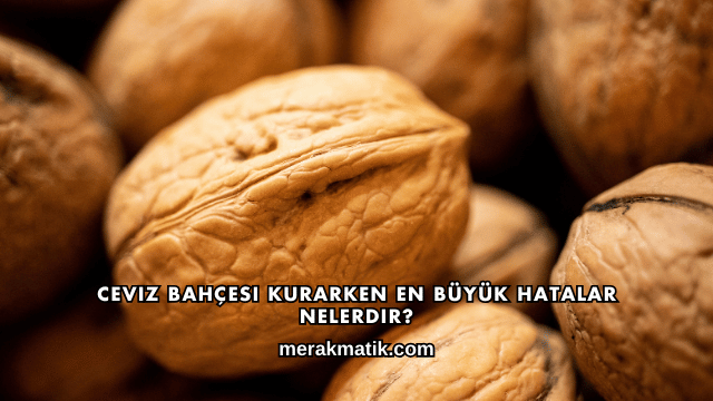 Ceviz Bahçesi Kurarken En Büyük Hatalar Nelerdir?