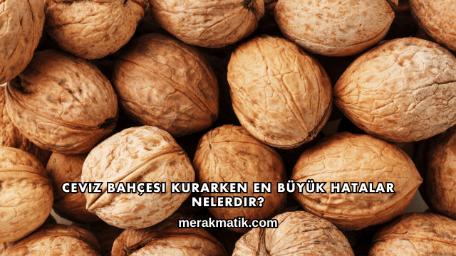 Ceviz Bahçesi Kurarken En Büyük Hatalar Nelerdir?