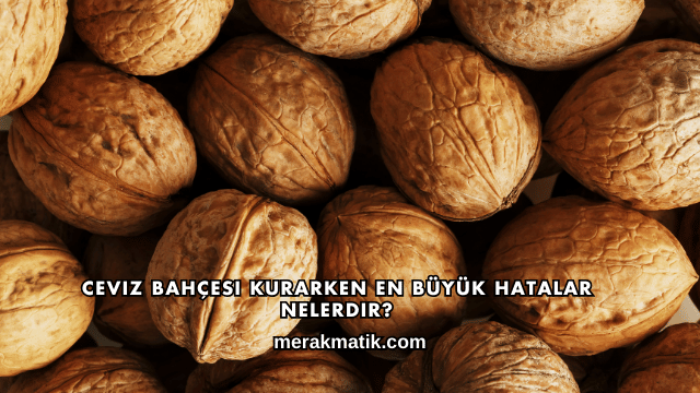 Ceviz Bahçesi Kurarken En Büyük Hatalar Nelerdir?