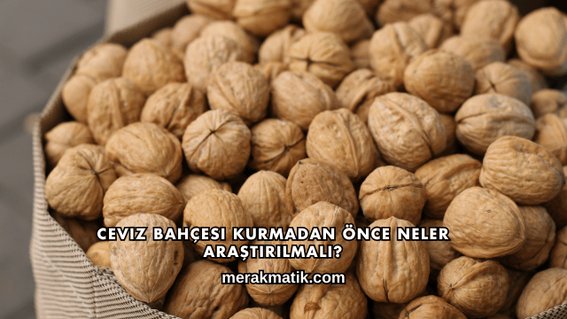 Ceviz Bahçesi Kurmadan Önce Neler Araştırılmalı?