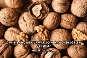 Ceviz Bahçesi Kurmak İçin Hangi Belgeler Gerekli?