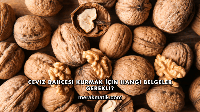 Ceviz Bahçesi Kurmak İçin Hangi Belgeler Gerekli?