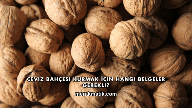 Ceviz Bahçesi Kurmak İçin Hangi Belgeler Gerekli?