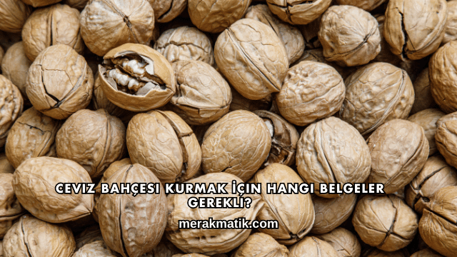 Ceviz Bahçesi Kurmak İçin Hangi Belgeler Gerekli?