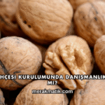 Ceviz Bahçesi Kurulumunda Danışmanlık Gerekli mi?