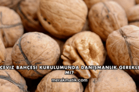 Ceviz Bahçesi Kurulumunda Danışmanlık Gerekli mi?