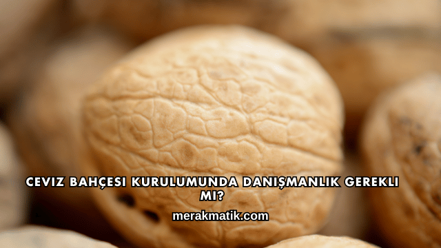 Ceviz Bahçesi Kurulumunda Danışmanlık Gerekli mi?