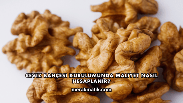 Ceviz Bahçesi Kurulumunda Maliyet Nasıl Hesaplanır?