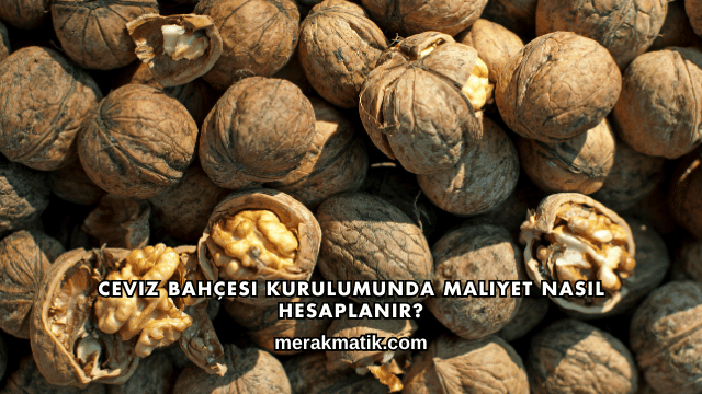 Ceviz Bahçesi Kurulumunda Maliyet Nasıl Hesaplanır?