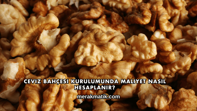 Ceviz Bahçesi Kurulumunda Maliyet Nasıl Hesaplanır?