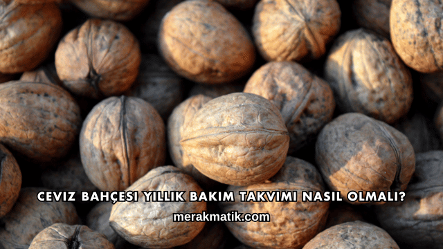 Ceviz Bahçesi Yıllık Bakım Takvimi Nasıl Olmalı?