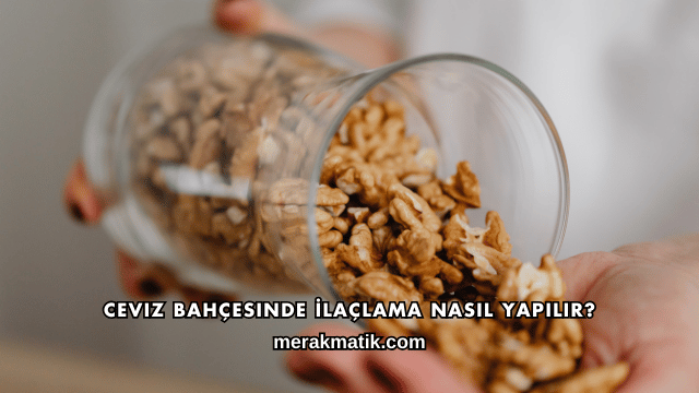 Ceviz Bahçesinde İlaçlama Nasıl Yapılır?