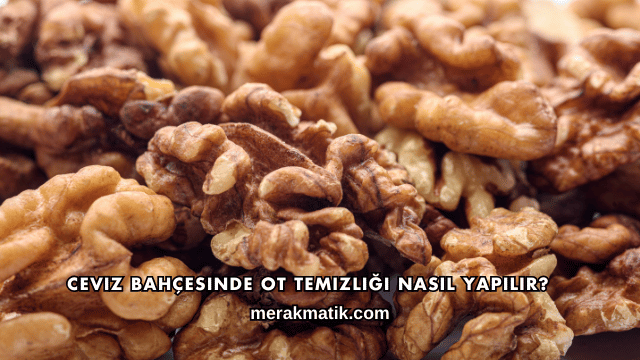 Ceviz Bahçesinde Ot Temizliği Nasıl Yapılır?
