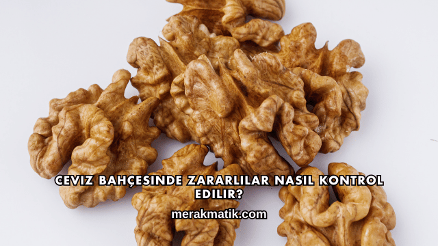 Ceviz Bahçesinde Zararlılar Nasıl Kontrol Edilir?