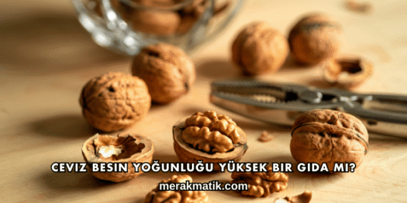 Ceviz Besin Yoğunluğu Yüksek Bir Gıda mı?