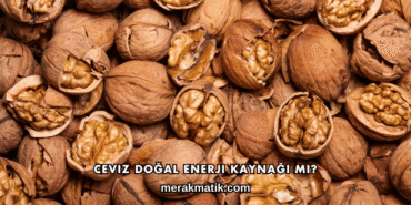 Ceviz Doğal Enerji Kaynağı mı?