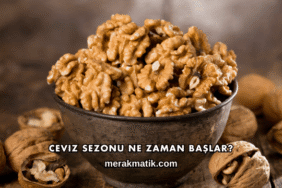Ceviz Sezonu Ne Zaman Başlar?