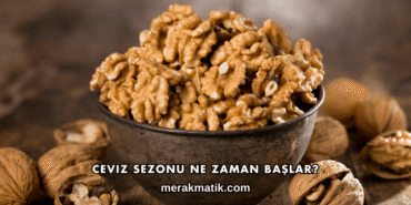 Ceviz Sezonu Ne Zaman Başlar?