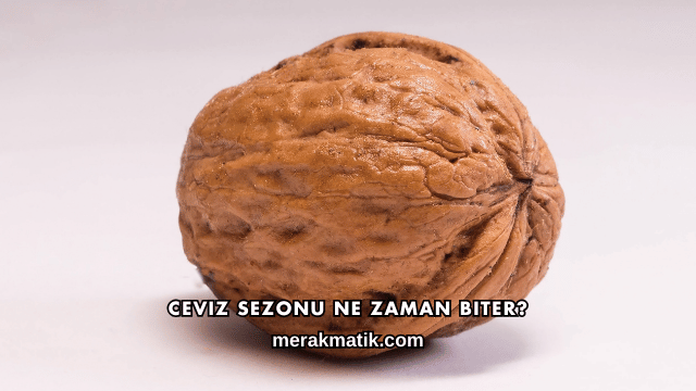 Ceviz Sezonu Ne Zaman Biter?