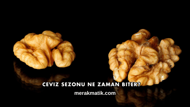 Ceviz Sezonu Ne Zaman Biter?