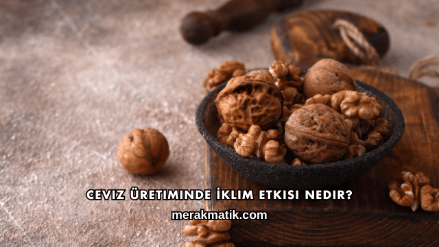 Ceviz Üretiminde İklim Etkisi Nedir?