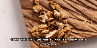 Ceviz Yetiştiriciliğinde Su Kalitesi Önemli mi?